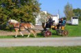 /album/foto1/dsc-0135-32-jpg/